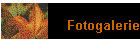 Fotogalerie