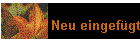 Neu eingefügt
