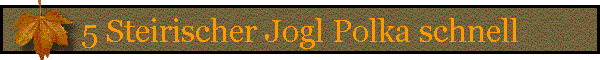 5 Steirischer Jogl Polka schnell