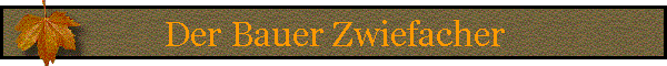 Der Bauer Zwiefacher
