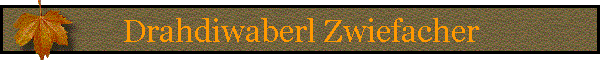 Drahdiwaberl Zwiefacher
