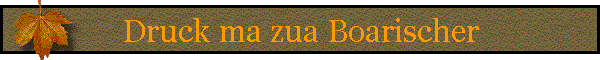 Druck ma zua Boarischer