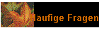 Häufige Fragen