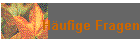 Hufige Fragen