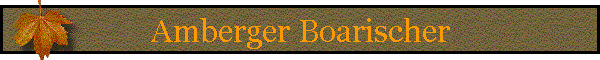 Amberger Boarischer