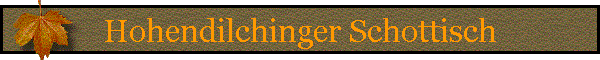 Hohendilchinger Schottisch