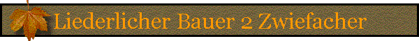 Liederlicher Bauer 2 Zwiefacher