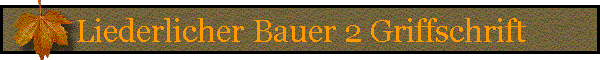 Liederlicher Bauer 2 Griffschrift