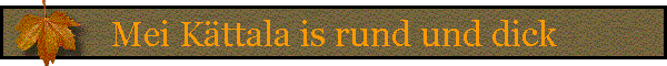 Mei Kttala is rund und dick