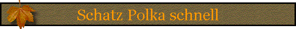 Schatz Polka schnell