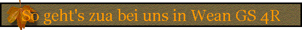So geht's zua bei uns in Wean GS 4R