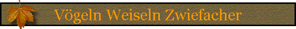 Vgeln Weiseln Zwiefacher
